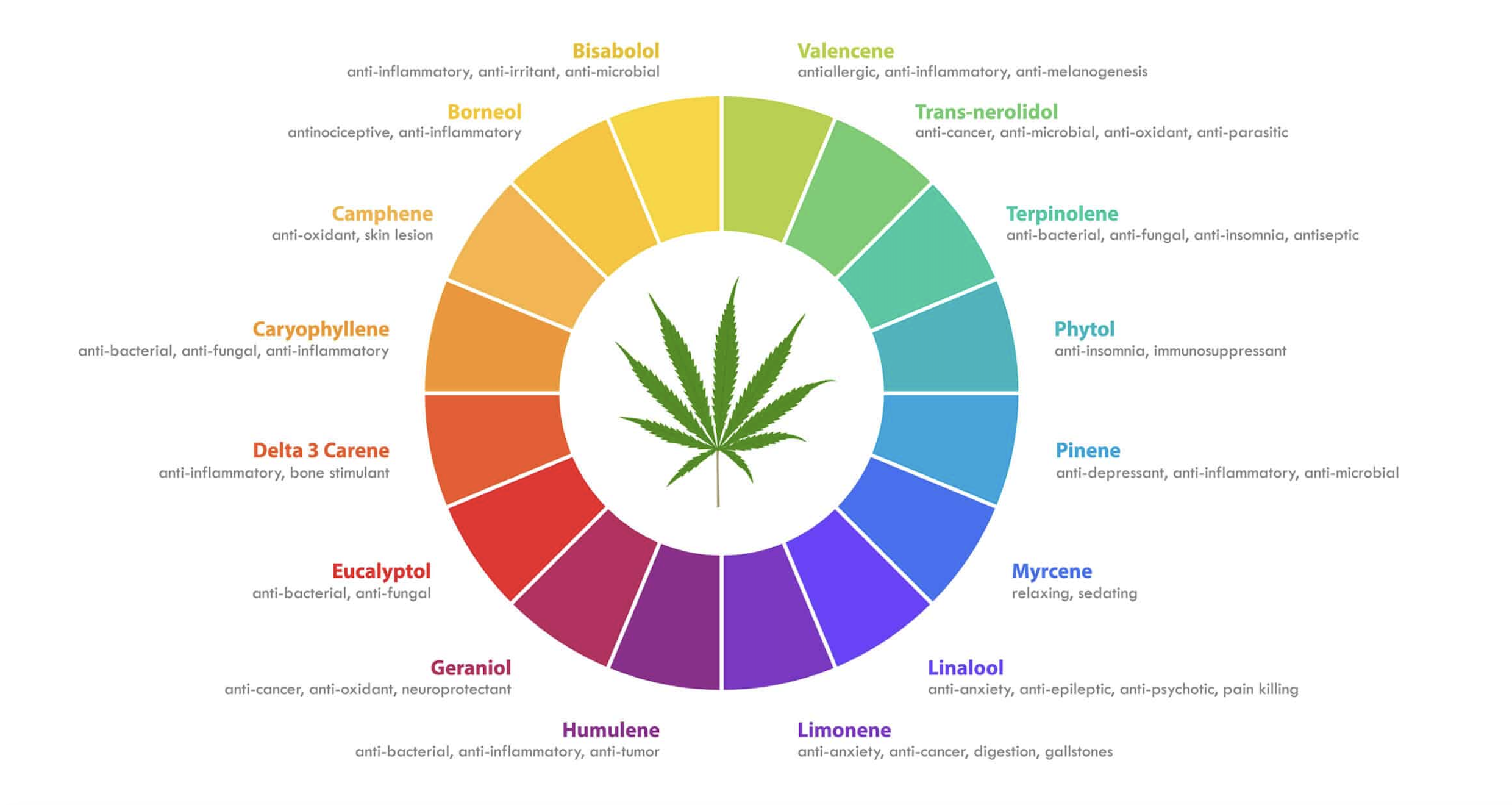 Terpene Chart